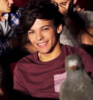 Comment s'appelle le pigeon de Louis ?