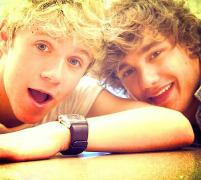 Quel âge ont Niall et Liam ?