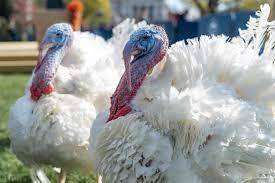 Who pardon the two Turkeys for Thanksgiving ?