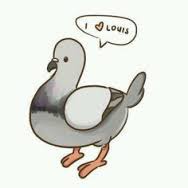 Comment Louis Tomlinson a surnommé ce pigeon ?
