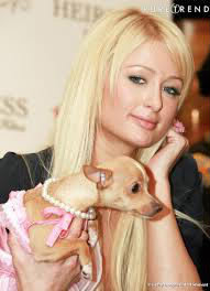 Comment s'appelle le chien de Paris Hilton ?