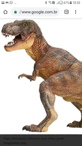 E o tiranossauro Rex tem ?
