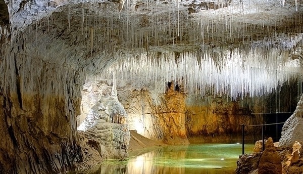 Les grottes de Choranche, dans le Vercors, abritent de nombreuses fistuleuses. Qu’est-ce que c’est ?
