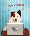 Sur quelle chaîne passe "#doggyblog" ?