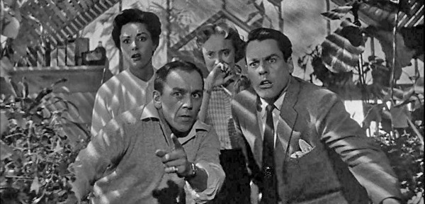 Où naissent les doubles des humains dans « L’Invasion des profanateurs de sépultures » (1956), unique et génial film de science-fiction de Don Siegel ?