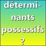 Lesquels sont des déterminants possessifs ?