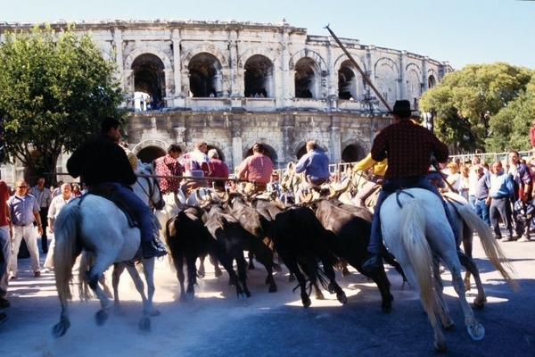 Quelle est l’incontournable manifestation se déroulant à Nîmes le week-end de Pentecôte ?