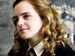 Quel métier fait le père de Hermione ?