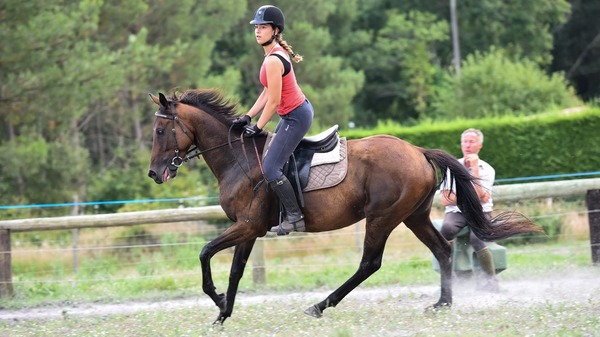 Dans quoi sont positionnés vos pieds lorsque vous montez un cheval correctement équipé ?