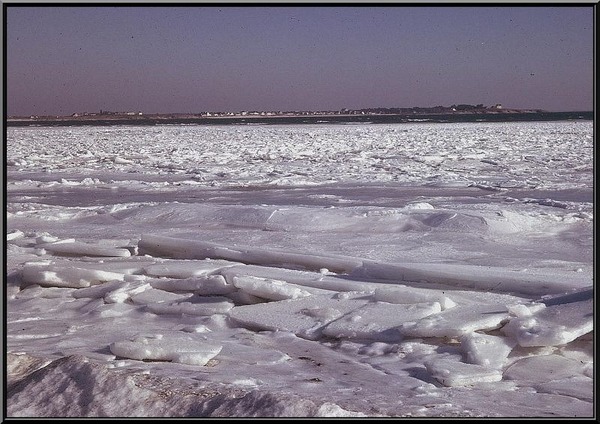 L'eau salée de la mer peut-elle geler ?