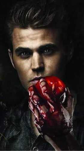 Quem foi o primeiro amor de Stefan?