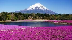 La plus grande île de l'archipel japonais, anciennement appelée Hondo. On y trouve la ville de Tokyo et le point culminant du Japon, le mont Fuji (3 776 m).