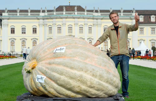 En 2014, combien pesait la plus lourde citrouille quand elle a été présentée par Beni Meier au géant européen "Pumpkin Peser-off" à Ludwigsburg, en Allemagne ?
