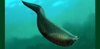 Il y a 450 millions d'années apparaissent les premiers poissons suivis par...