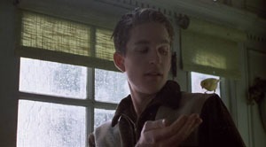 Dans «Birdy», d’Alan Parker (1984), le personnage incarné par Matthew Modine, traumatisé par la guerre du Vietnam, est interné dans un asile car il rêve de voler. Quel oiseau détient-il en cage?