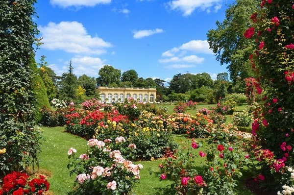 Quand eut lieu le premier concours international de roses des Jardins de Bagatelle ?