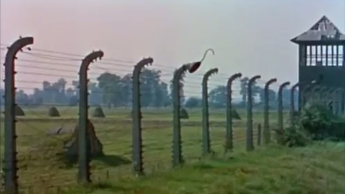 Quel est le nom de ce documentaire réalisé par Alain Resnais, traitant de la déportation et des camps d'extermination nazis de la Seconde Guerre mondiale ?