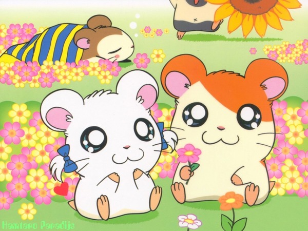 Quel petit animal est Hamtaro dans le manga créé par Ritsuko Kawai ?