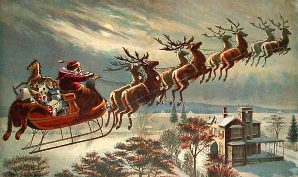 Compagnons fidèles du Père Noël, les rennes qui tirent le traîneau sont au nombre de :