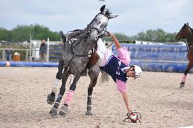 En horse-ball, cette action s'appelle un(e) :
