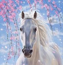 Complétez les paroles d'Hugues Aufray : "Il s'appelait Stewball, c'était un cheval blanc. Il était mon idole et moi j'avais..."