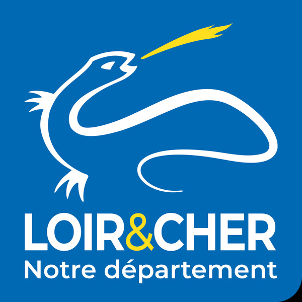 Quelle commune ne se trouve pas dans le Loir-et-Cher ?