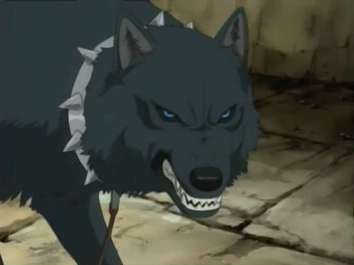 Quel est ce personnage de wolf's rain ?