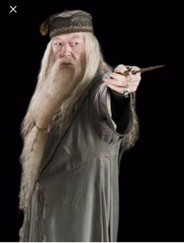 Qui est devenu directeur à Poudlard après Albus Dumbledore ?