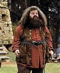 Rubeus Hagrid, garde-chasse de Poudlard est joué par _____