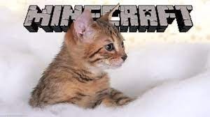 W której wersji "Minecrafta" dodano kotki?