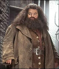 Comment Harry rencontre Hagrid ?