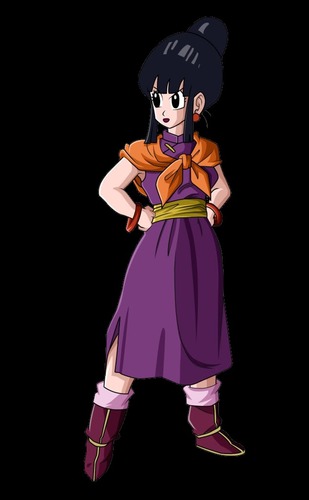Quel est le nom de la femme de San Goku ?