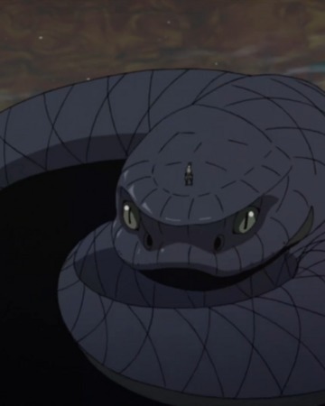 Comment s'appelle ce serpent dans Naruto ?