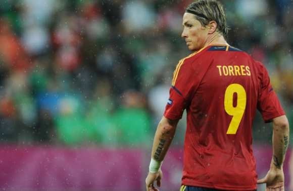 Fernando Torres ?