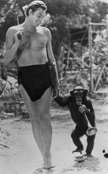 John Weissmuller, fameux interprète de Tarzan au cinéma, était auparavant un champion…