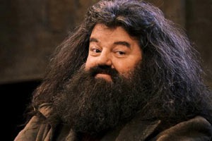 Hagrid est un ...