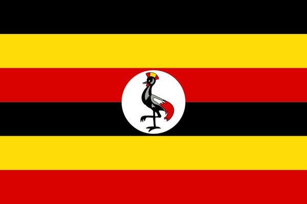 Le drapeau de l'Ouganda porte un oiseau en son centre qui est un(e) :