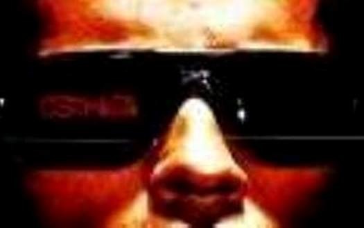 Lunettes de soleil Gargoyles pour le personnage principal de ce film