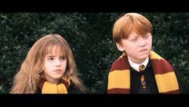 Qui sont Ron et Hermione ?