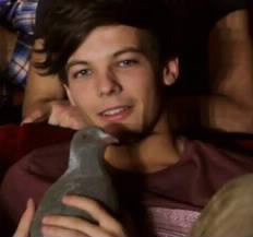 Comment s’appelle le pigeon de Louis dans Les videos Diary ?
