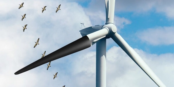 Pour limiter les collisions des oiseaux avec les éoliennes, des chercheurs norvégiens ont testé un dispositif. Lequel ?