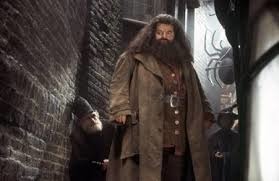 Pourquoi Hagrid est-il aussi grand ?