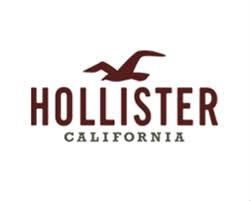 A quel animal correspond le logo d'Hollister ?