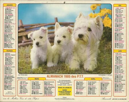 L'année 1985 a commencé un...
