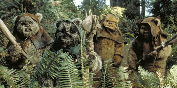 Les Ewoks vivent sur la Lune forestière...