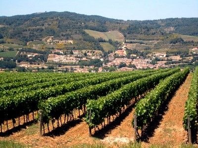 Quelle est la spécialité de Limoux, dans l'Aude ?
