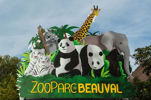 Combien y a-t-il de pandas au zoo de Beauval ?