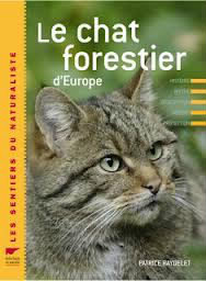 Le chat forestier est-il un chat sauvage  ?