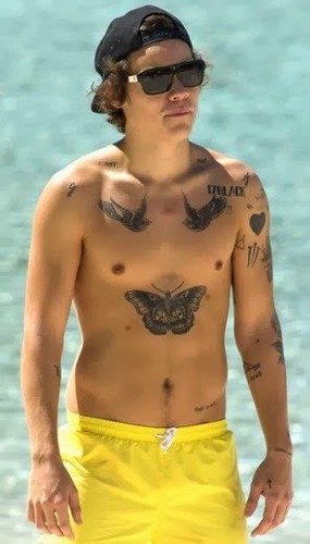 Hány tetoválása van Harry Stylesnak ?