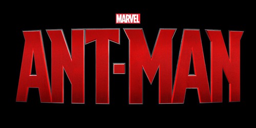 Qui succède à Hank Pym dans le costume de Ant-Man ?